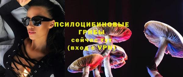 МДПВ Медногорск