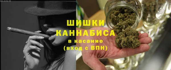СК Медвежьегорск