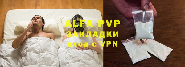 СК Медвежьегорск
