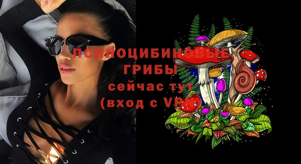 СК Медвежьегорск