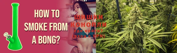 СК Медвежьегорск
